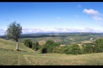 Baum-mit-Landschaft_scan-018