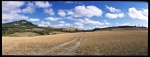 Feldweg-in-Landschaft-scan026