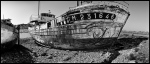 Schiffswrack-Camaret-sur-mer-Frankreich-Bretagne-20.09
