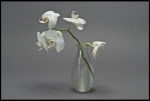 Orchidee_RLF1856